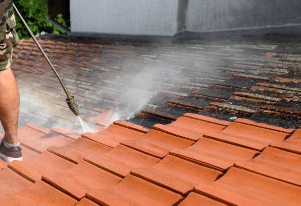 Best Deck Cleaning Services  in Rocky Top, TN