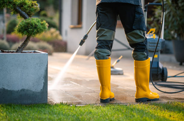 Best Roof Pressure Washing  in Rocky Top, TN